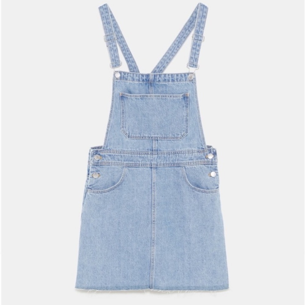 Zara Denim Dress
